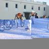 PEA_ALC02_05