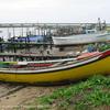 PEA_ALC02_53