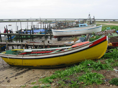 PEA_ALC02_53