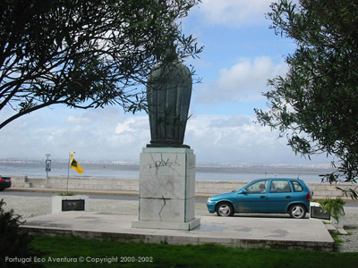 PEA_ALC02_85