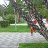 PEA_ALC02_86