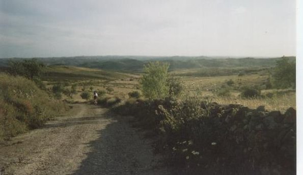 CCASintra04