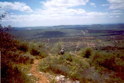 CCASintra114