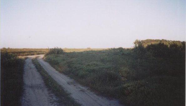 CCASintra209