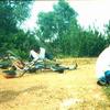Salmoes07