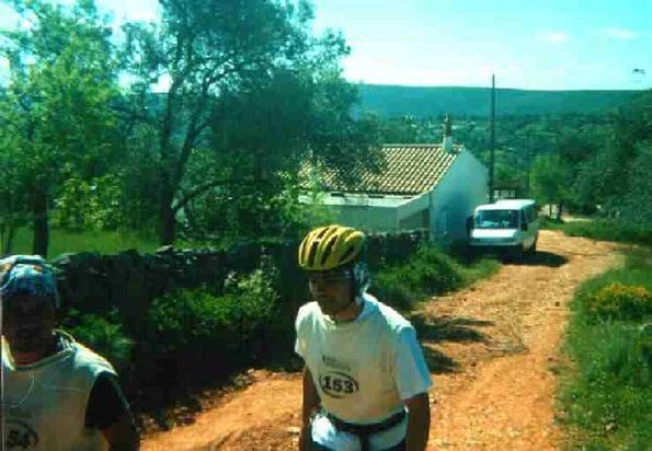 Salmoes10