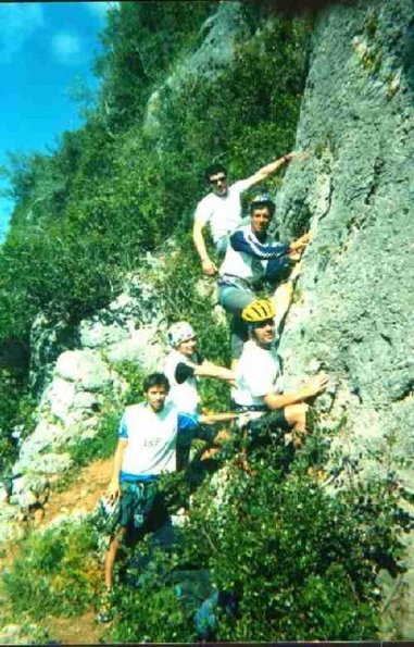 Salmoes11