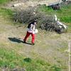 PEA_CHA03_OriPed01_MG2