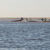 PEA_OES03_OCanoa_3