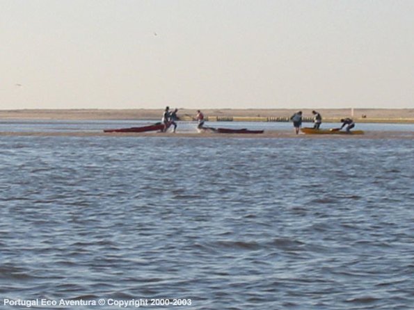PEA_OES03_OCanoa_3