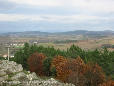 PEA_VIM02_paisagem