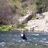 PEA_FUN04_074
