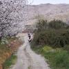 PEA_FUN04_153