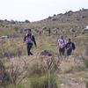 PEA_FUN04_179
