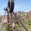 PEA_FUN04_192
