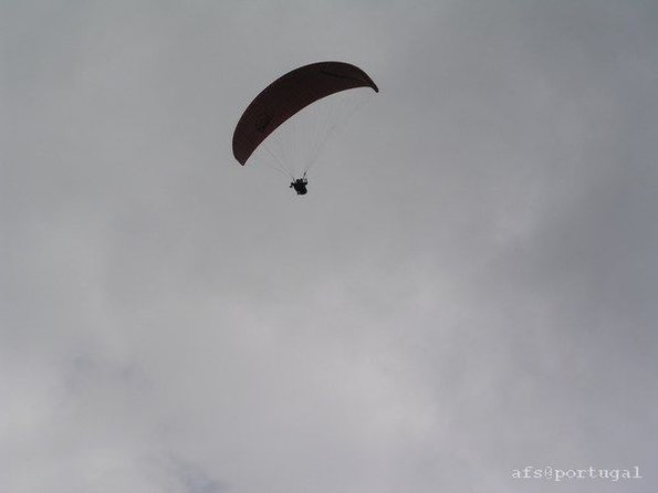 p1010298_a