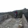 PEA_IDA05_237