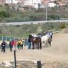 PEA_IDA05_268