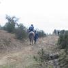 PEA_IDA05_271