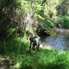 mini_RaidComandos_057