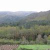 PEA_Xures05_015