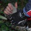 sar2006_et4_0440