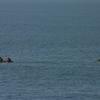 sar2006_et7_0596