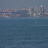 sar2006_et7_0597