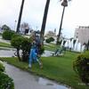 est06_et1_ped_4447_wt