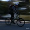 est06_et9_btt_4854_wt