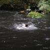 ibe06_et8_cannyoning_3472_av